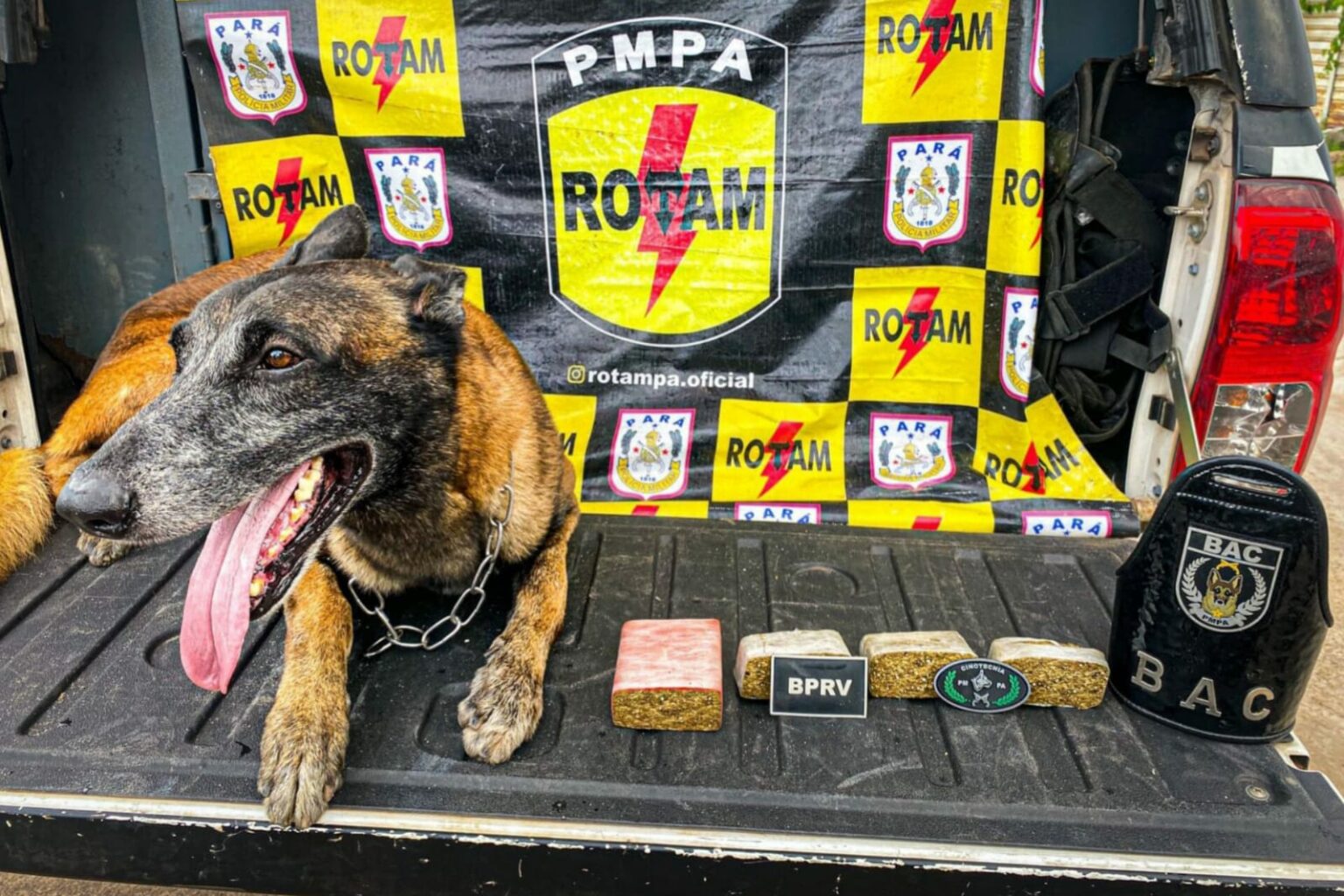 Operação “Esparavel” prende suspeito de tráfico de drogas no Pará