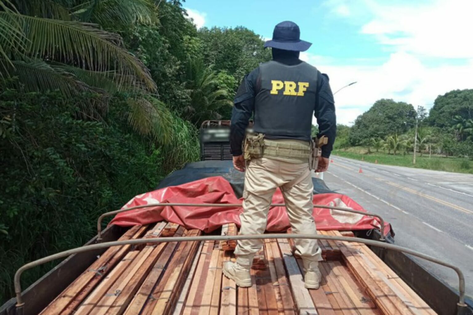 Madeira transportada ilegalmente é apreendida pela PRF na BR-316