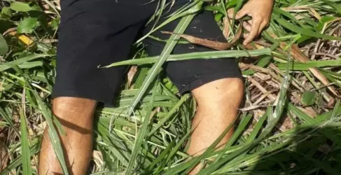 Dupla é presa após abandonar corpo humano no Pará