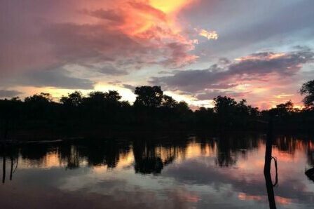 Dia Mundial da Água: Cerrado pode perder quase 34% da água até 2050