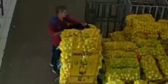Homem estupra gato no Pará