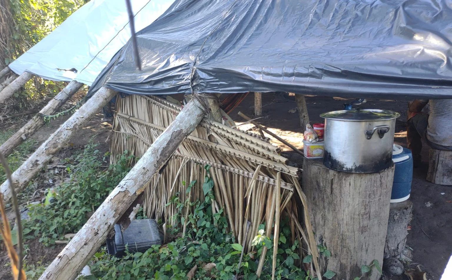 Seis pessoas são resgatadas de trabalho análogo à escravidão no Pará