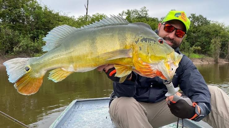 Tucuruí volta a sediar Torneio de Pesca da Amazônia após 16 anos