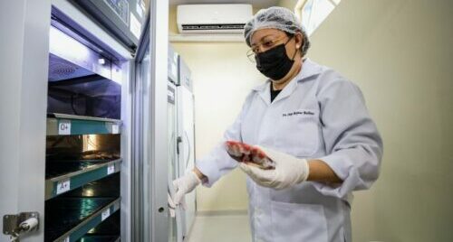 Hemopa vai iniciar testes de detecção da malária no Pará