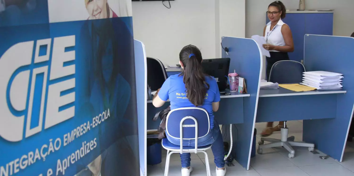 IBGE abre seleção para estágio remunerado em mais de 20 cursos de graduação