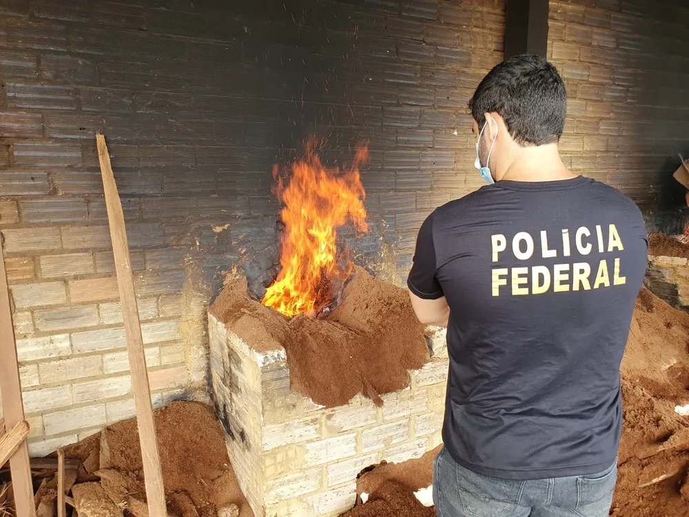 PF incinera cerca de 55 kg de drogas no sudoeste do Pará
