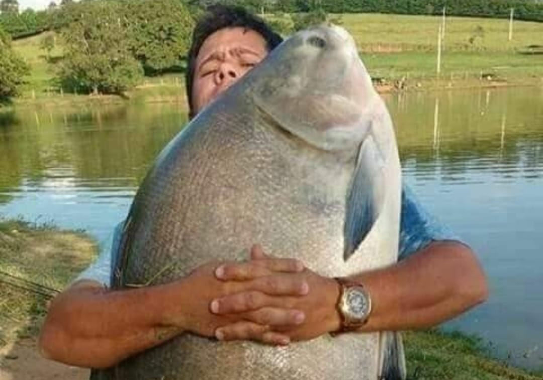 Pescador fisga “tambaqui gigante” em lago no interior do Pará