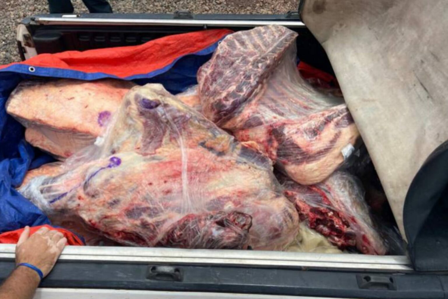 Adepará apreende 500kg de carne no Pará