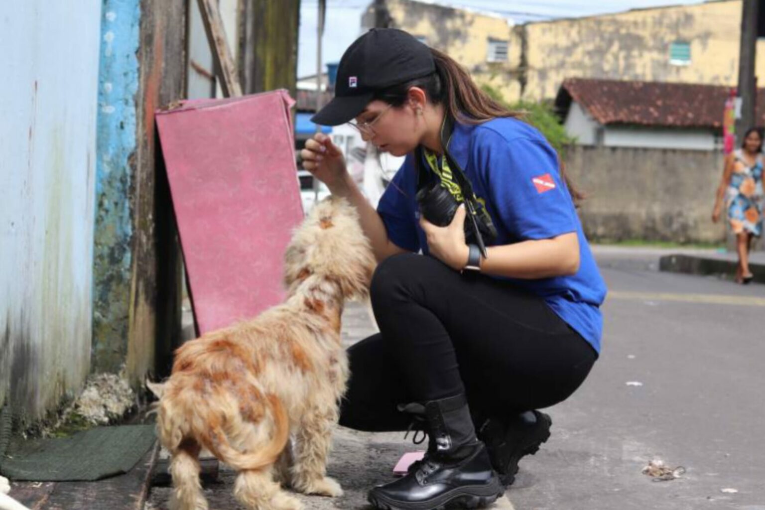 Polícias Civil e Científica vão às ruas apurar denúncias de maus-tratos contra animais