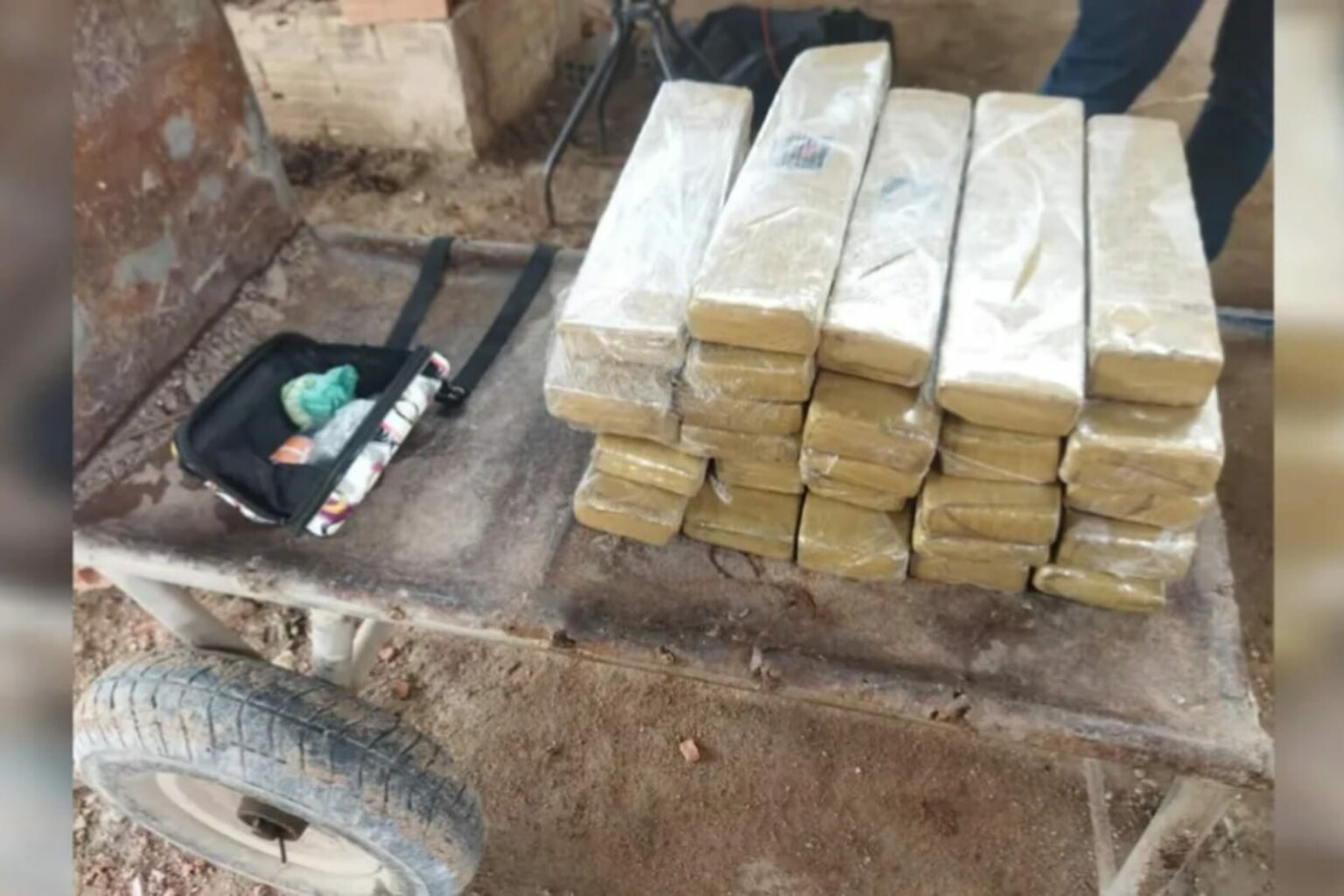 Polícia Civil incinera 23kg de drogas em Belterra