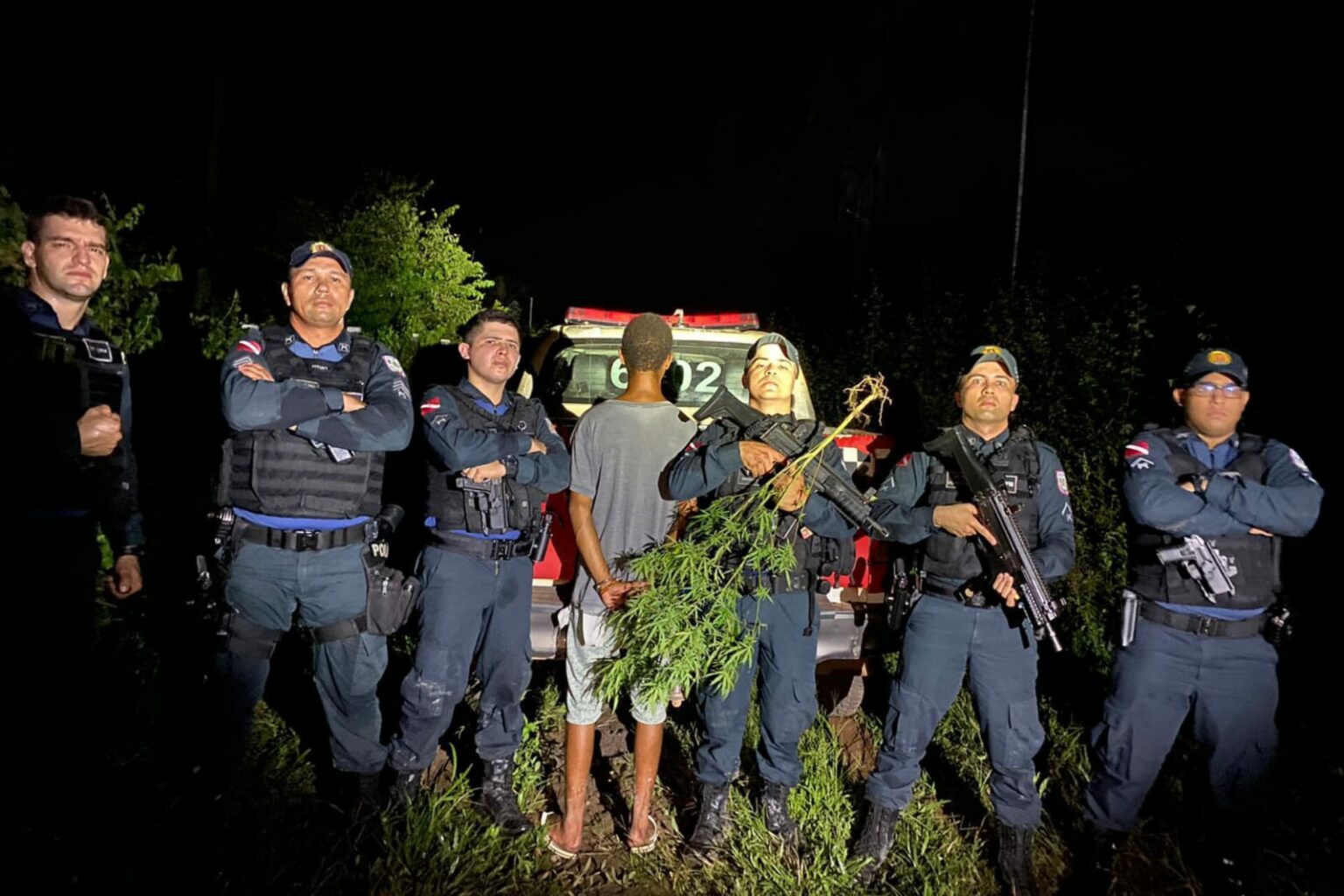Jovem é preso em Itupiranga por cultivar plantação de maconha em Marabá