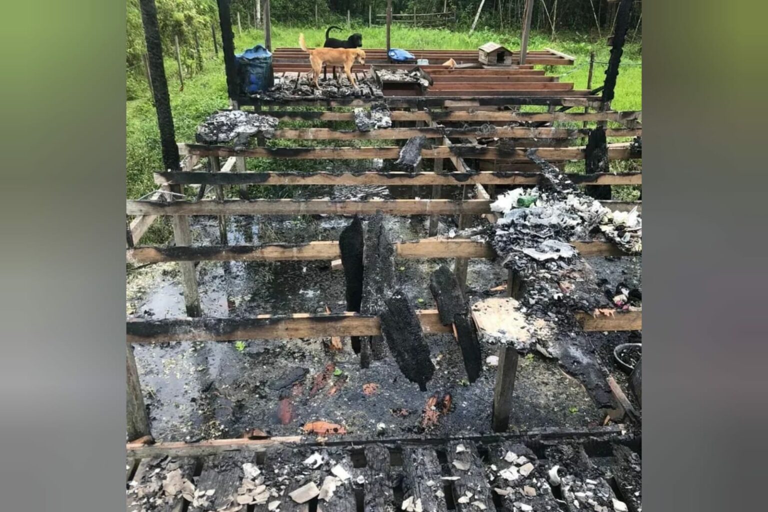 Mulher tem casa incendiada por companheiro na zona rural do Marajó