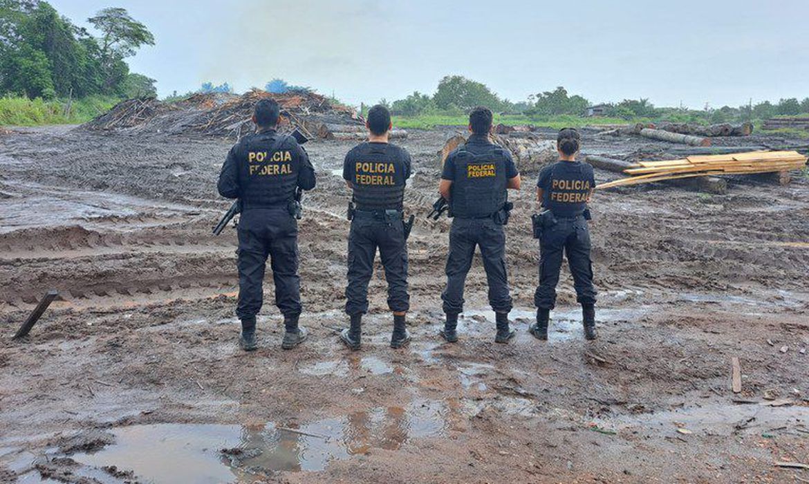 Polícia Federal e Ibama apreendem madeira ilegal no sudeste do Pará