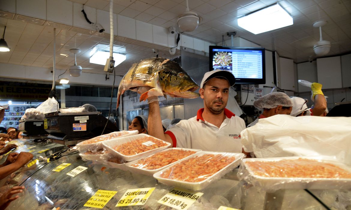 Peixes consumidos pela população têm contaminação por mercúrio em seis estados