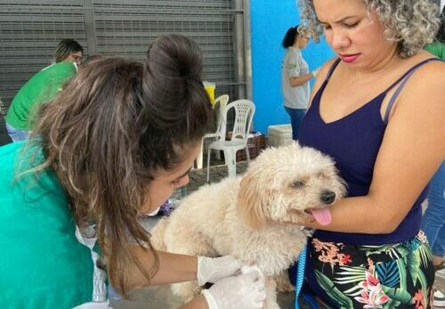 Prefeitura oferece ação com cuidados para animais domésticos em Marabá