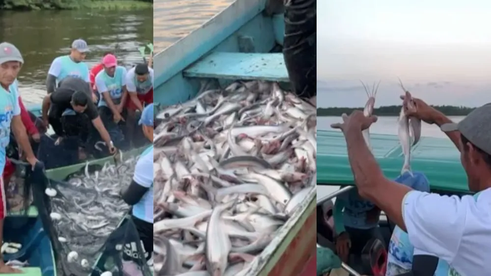 Pescadores comemoram fim do período de defeso no Pará
