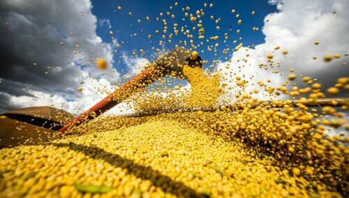 Conab estima recorde na produção de grãos
