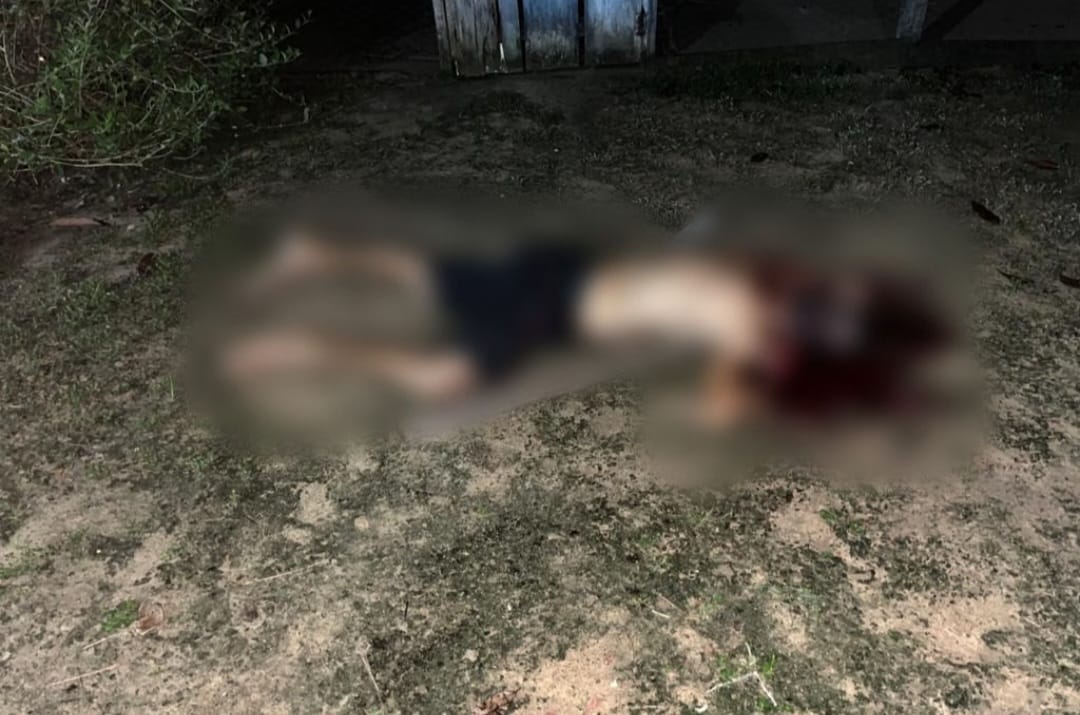 Homem mata o próprio irmão com pauladas na cabeça em Marabá