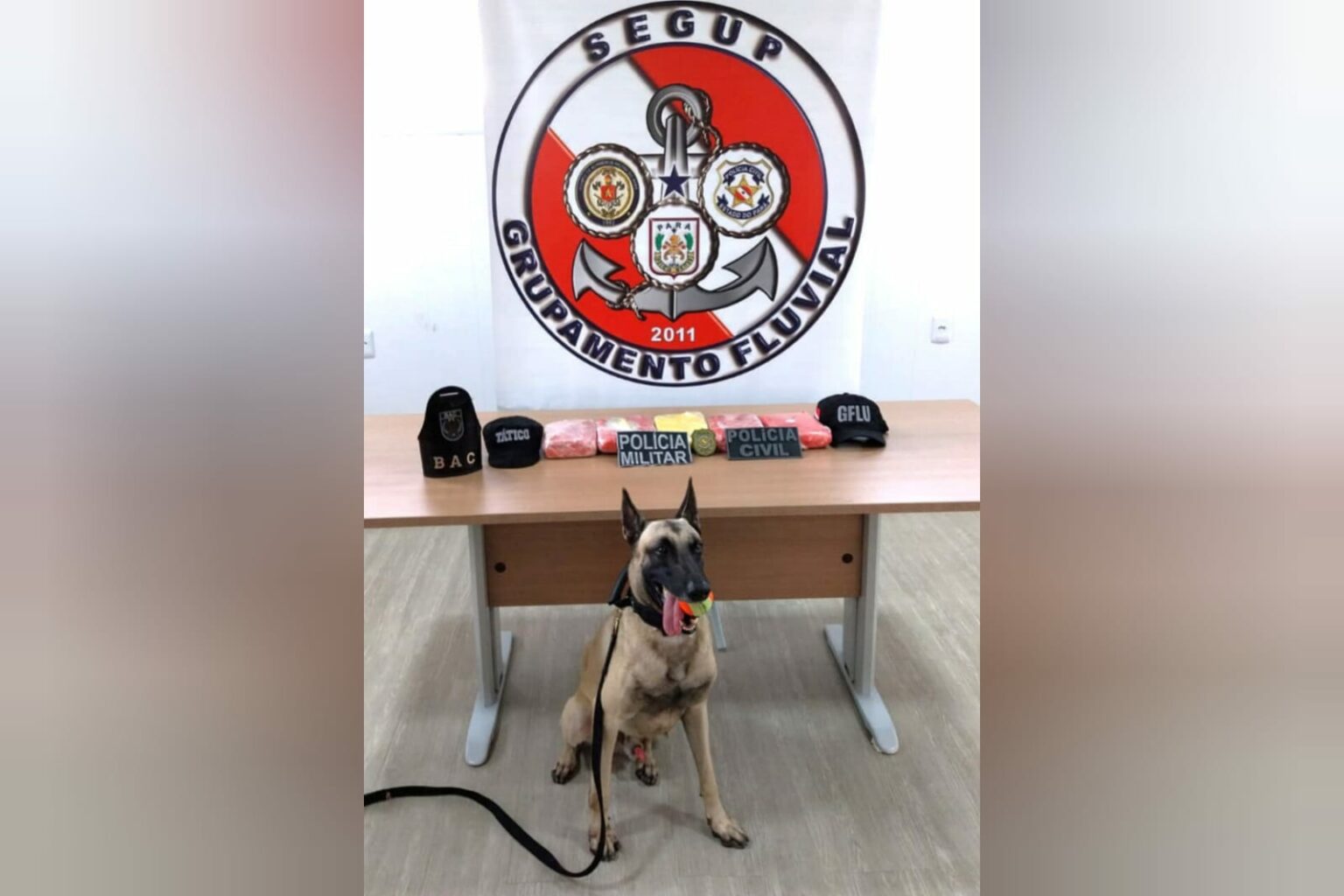 BAC apreende 5kg de entorpecentes dentro de embarcação no Pará