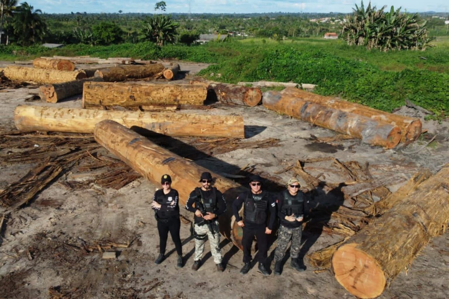 PC apreende madeira ameaçada de extinção no Pará