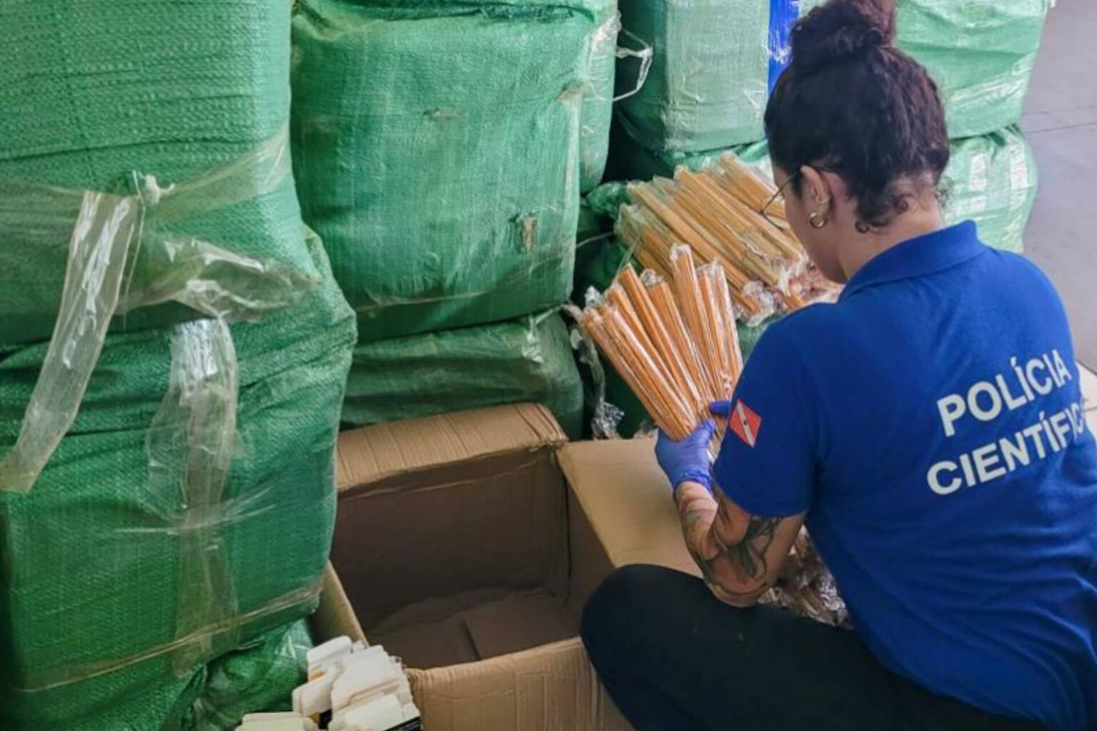 Polícia Científica pericia 10 mil pacotes de incensos apreendidos em Paragominas