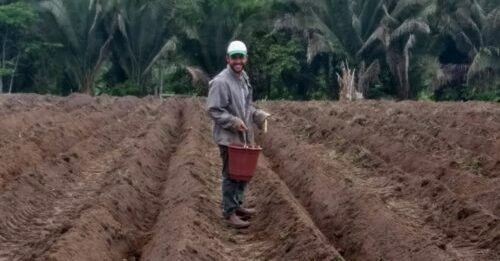 Prefeitura fortalece atividades dos produtores rurais de Marabá