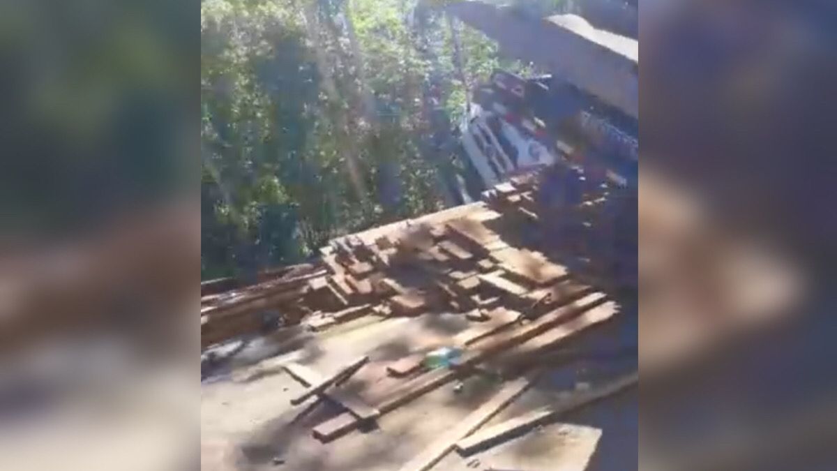 Vídeo: carreta carregada de madeira tomba na BR-230