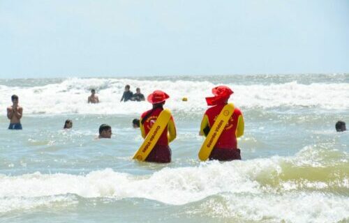 Corpo de Bombeiros alerta e orienta sobre acidentes com animais aquáticos