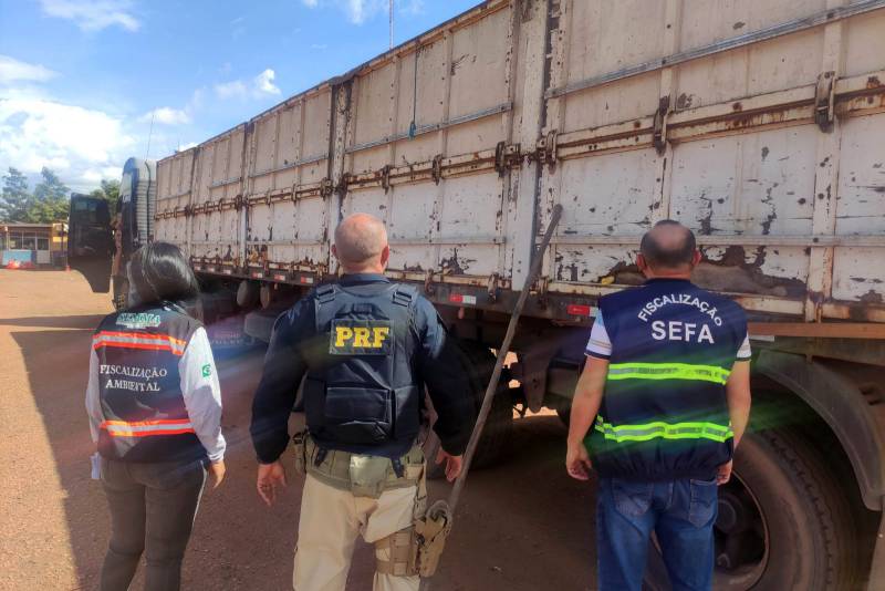 Sefa apreende 35 metros cúbicos de estacas em Dom Eliseu