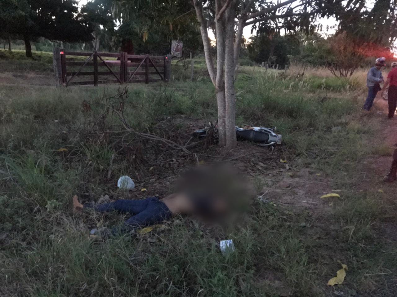 Motociclista choca-se contra mangueira e morre na BR-153 em São Domingos do Araguaia