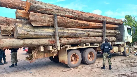 PF prende suspeito de crimes ambientais em terra indígena no Pará