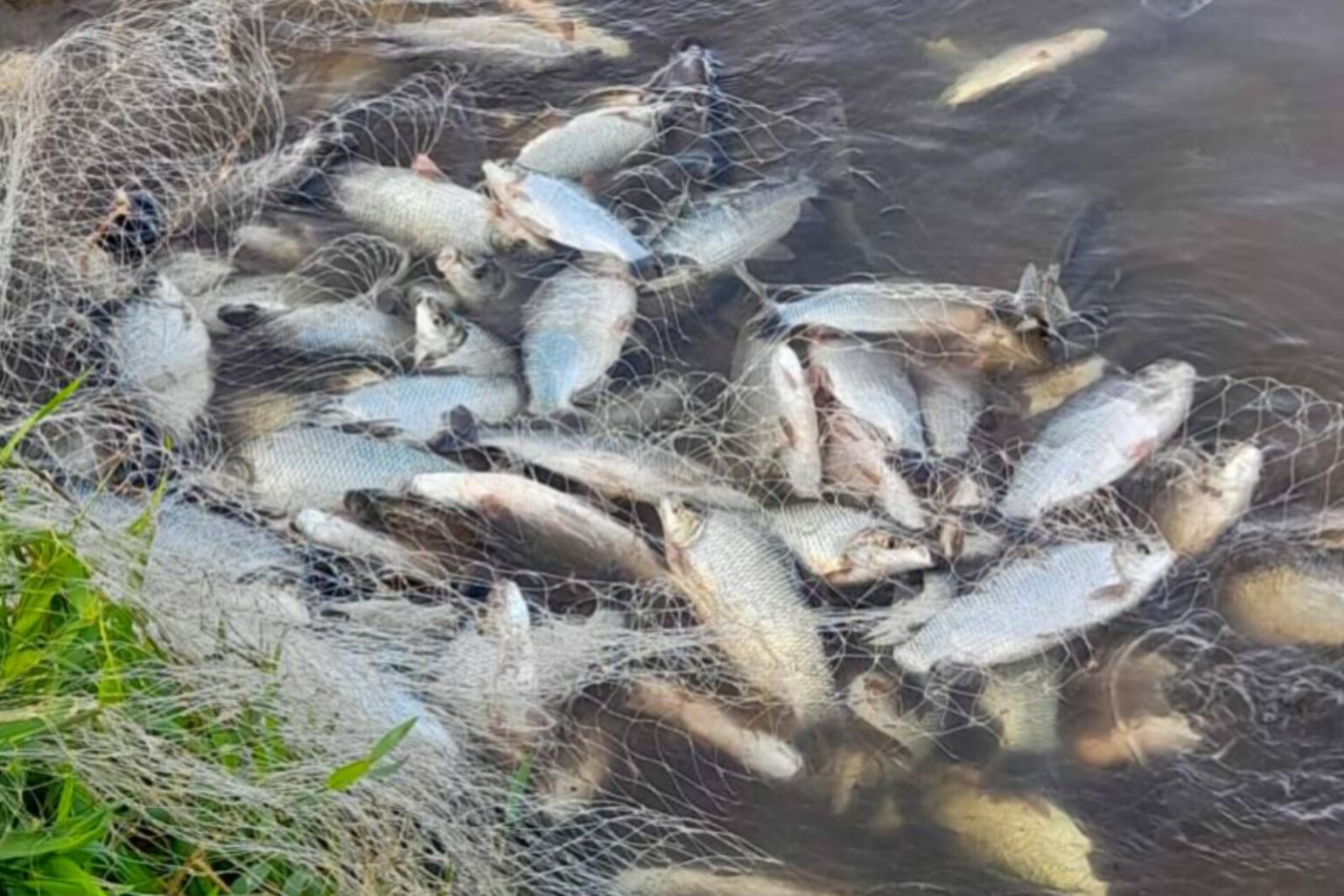 Quase 500 kg de pescado e 6 mil metros de redes são apreendidos em Tucuruí