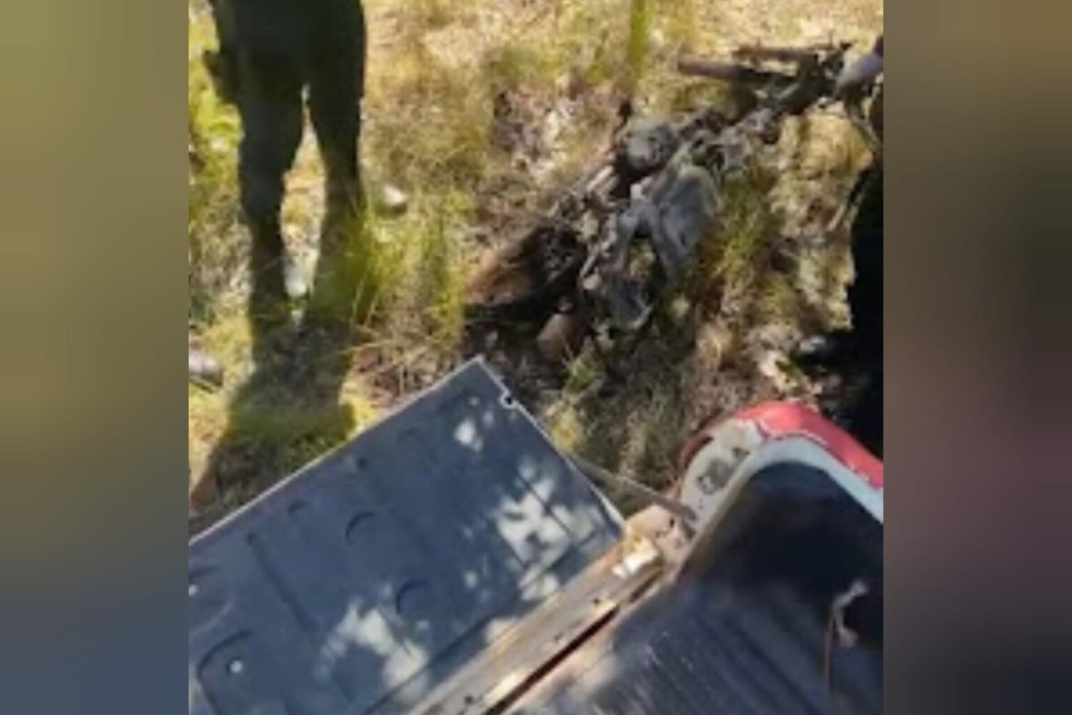 Três homens são encontrados mortos em Floresta do Araguaia