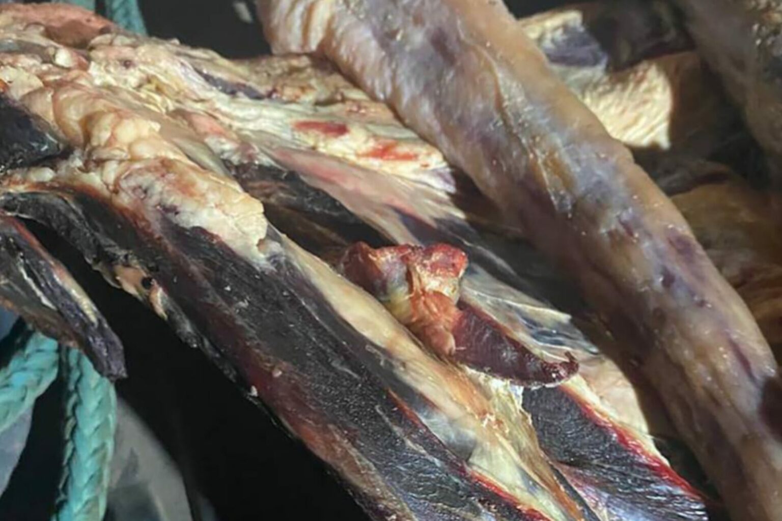 Adepará apreende 150 kg de carne imprópria para consumo