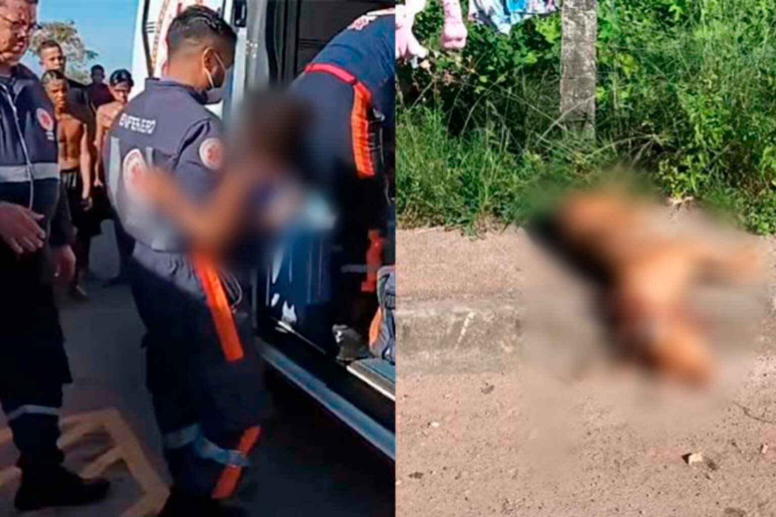 Criança é atacada por pitbull e moradores matam animal no Pará