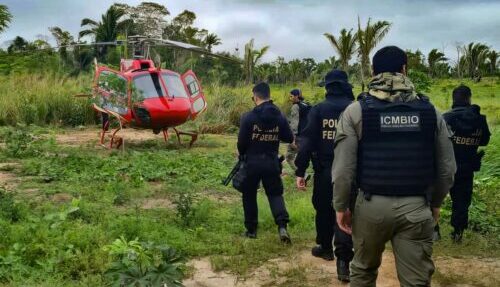 PF e ICMBio fazem operação contra crimes ambientais no Amazonas