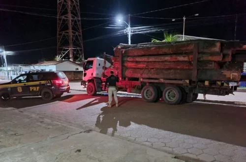 Carga ilegal de 23 toras de madeira é apreendida pela PRF em Jacundá