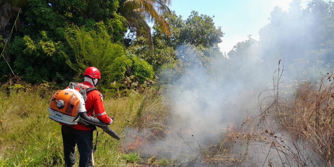 Mais de 10 ocorrências de queimadas já foram atendidas em Marabá