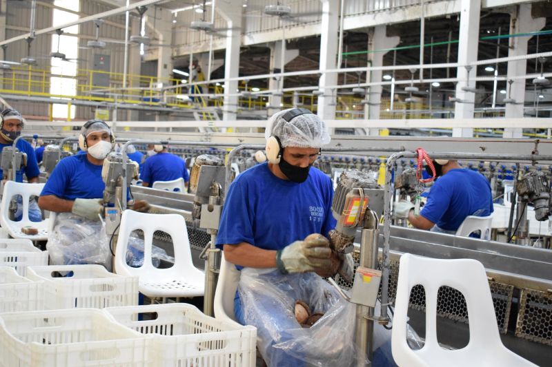 Pará apresenta aumento na geração de empregos na indústria