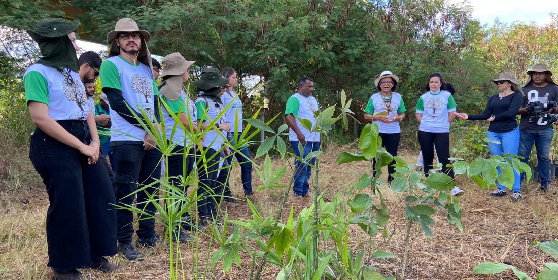 Plantio de mudas marca início do Parque Ambiental Pirucaba em Marabá