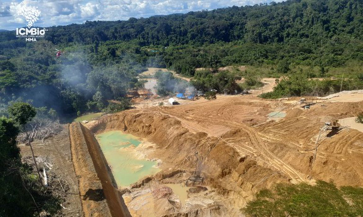 Garimpo ilegal devasta área equivalente a 118 campos de futebol