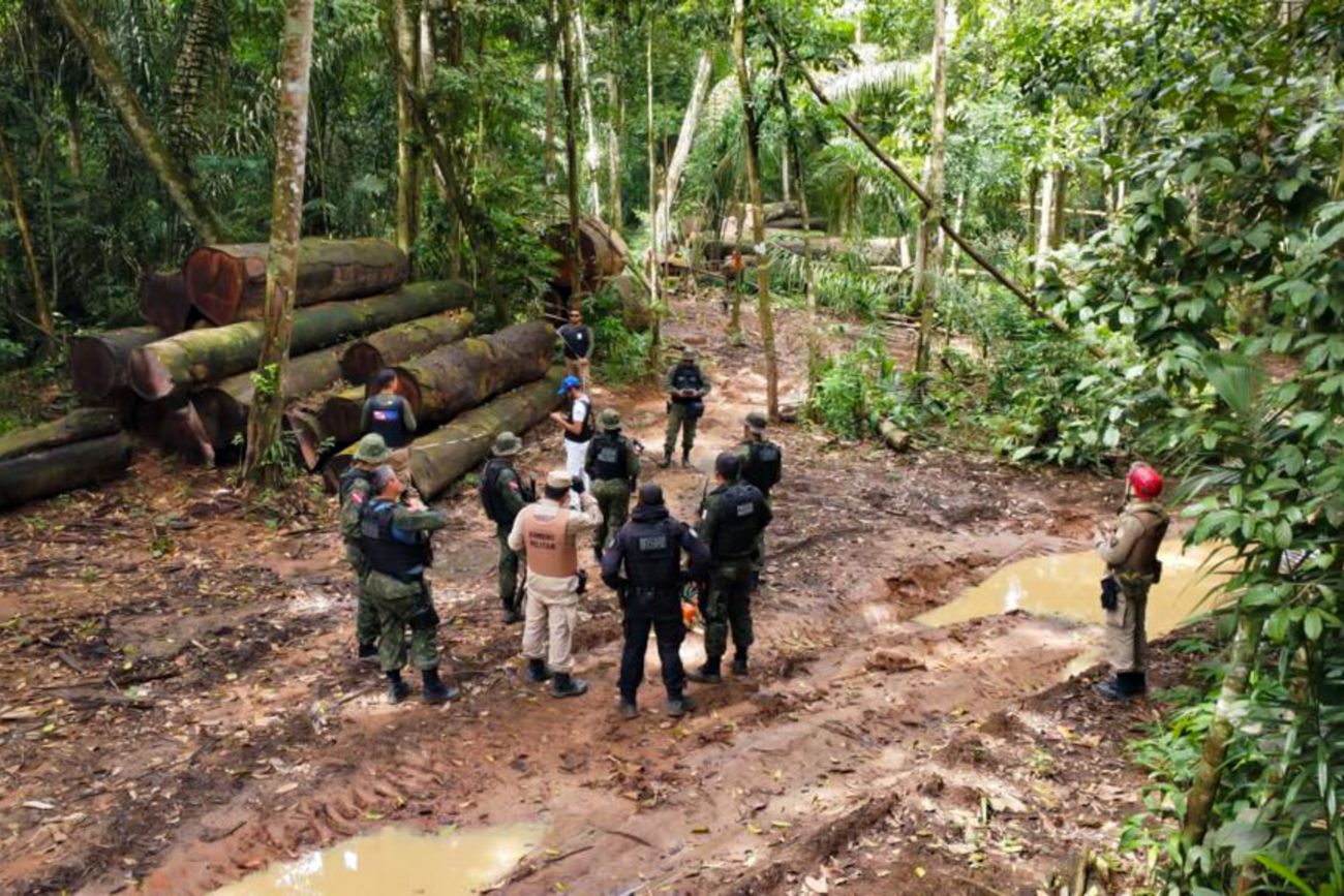 Operação Curupira executa mais de 300 ações integradas no Pará
