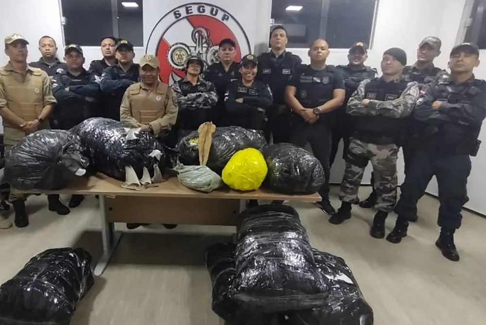 Barbatana de tubarão é apreendida dentro de embarcação no Pará