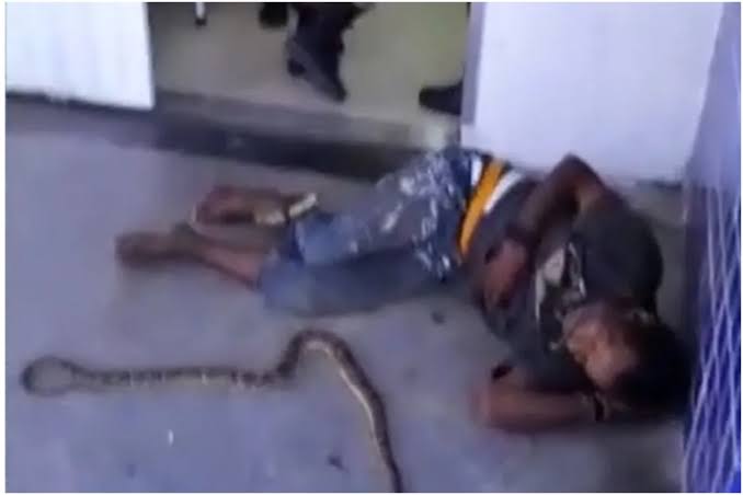 Picada de cobra gera confusão e denúncia de agressão em hospital