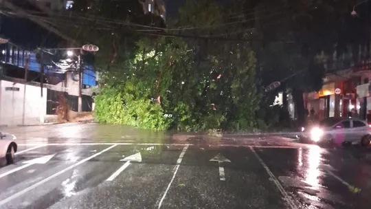 Temporal derruba árvores e provoca alagamentos no Pará