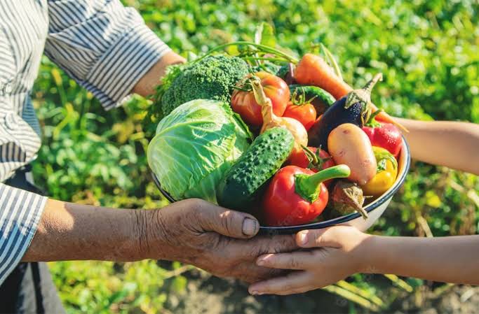 Agricultores de Marabá recebem CAF da Emater