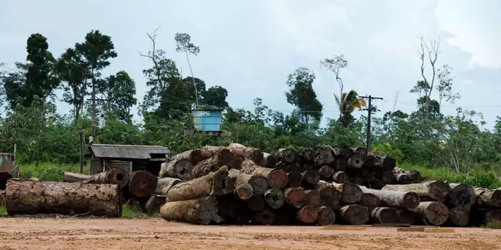 Exportações do Pará têm queda de 4,4% no primeiro semestre