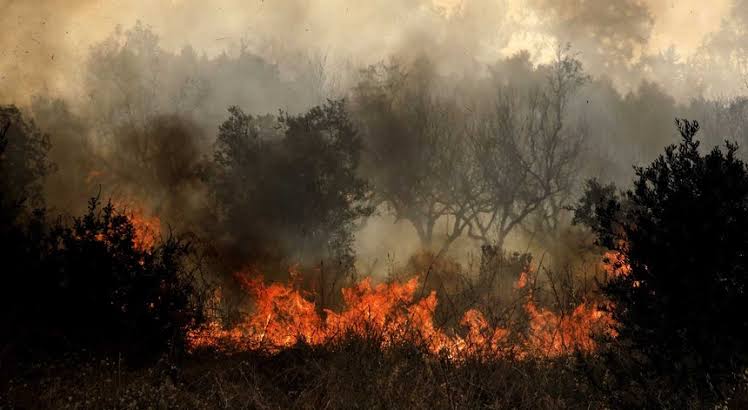 “A era do aquecimento global terminou, e a era da ebulição global chegou”, alerta ONU