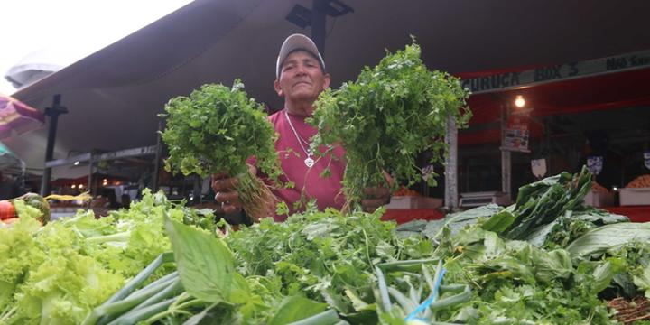 Clima deve mudar preços de alimentos no Pará