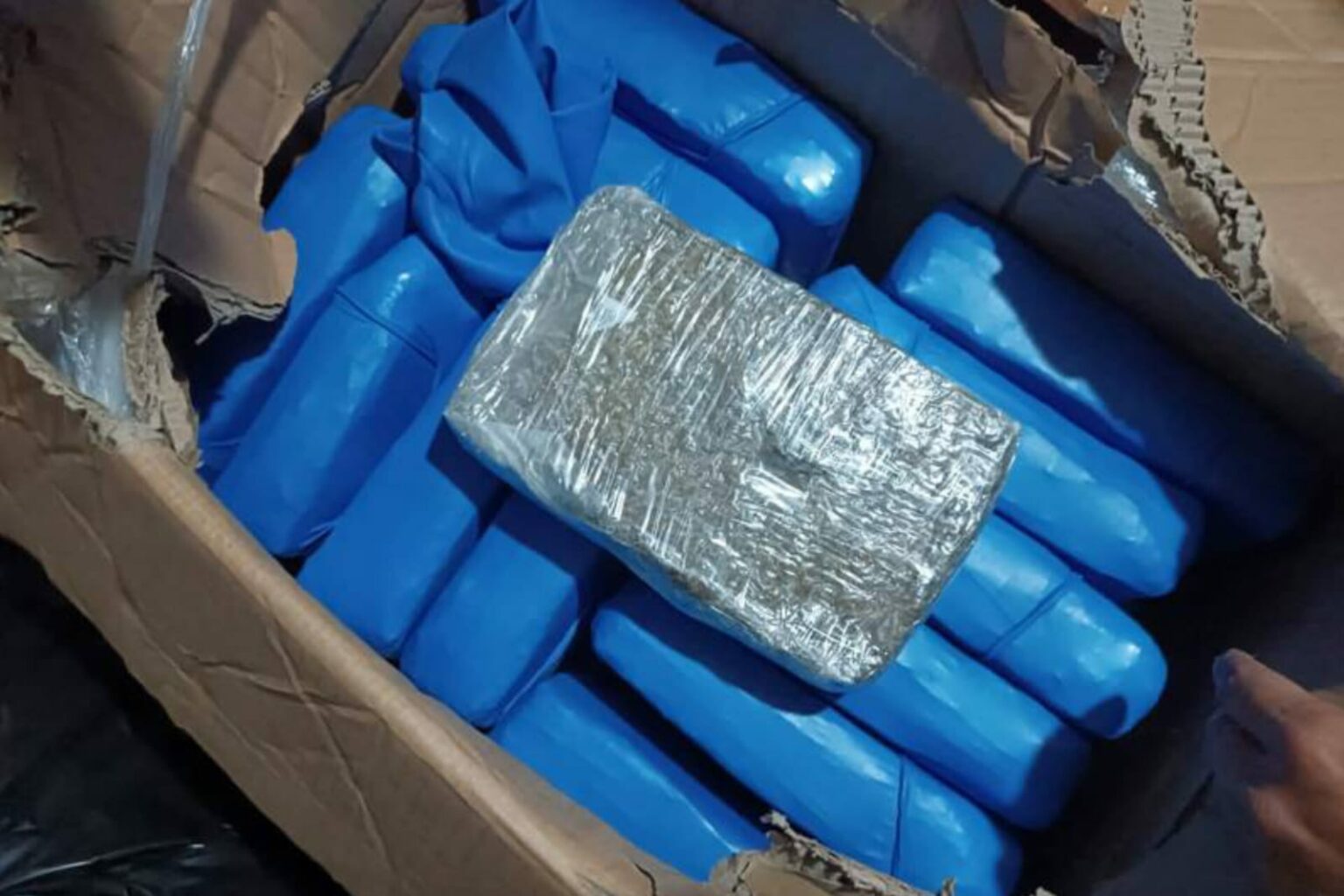 Polícia apreende tabletes de drogas avaliados em quase R$ 400 mil no Pará